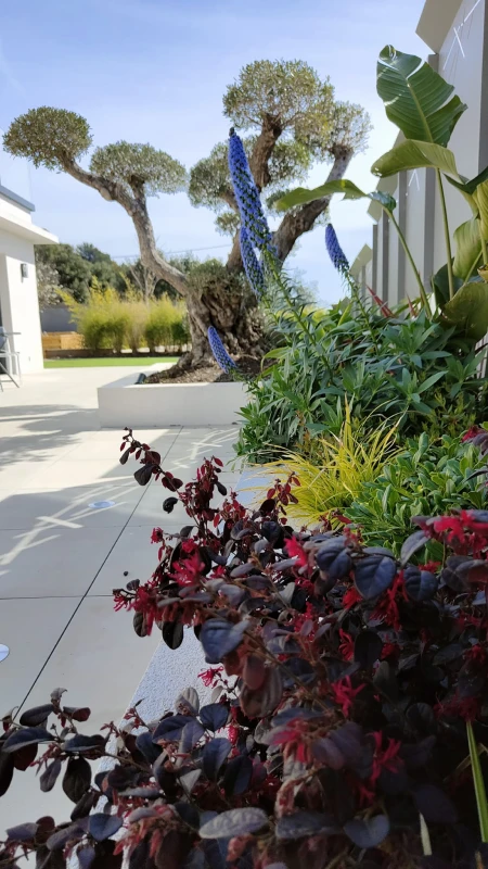 Ambiance Paysages Creation De Jardin Nice Ambiance Paysages R4