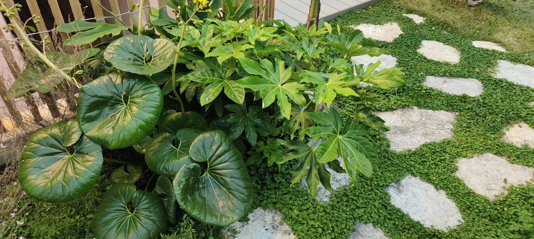 Ambiance Paysages Creation De Jardin Nice Ambiance Paysages R6