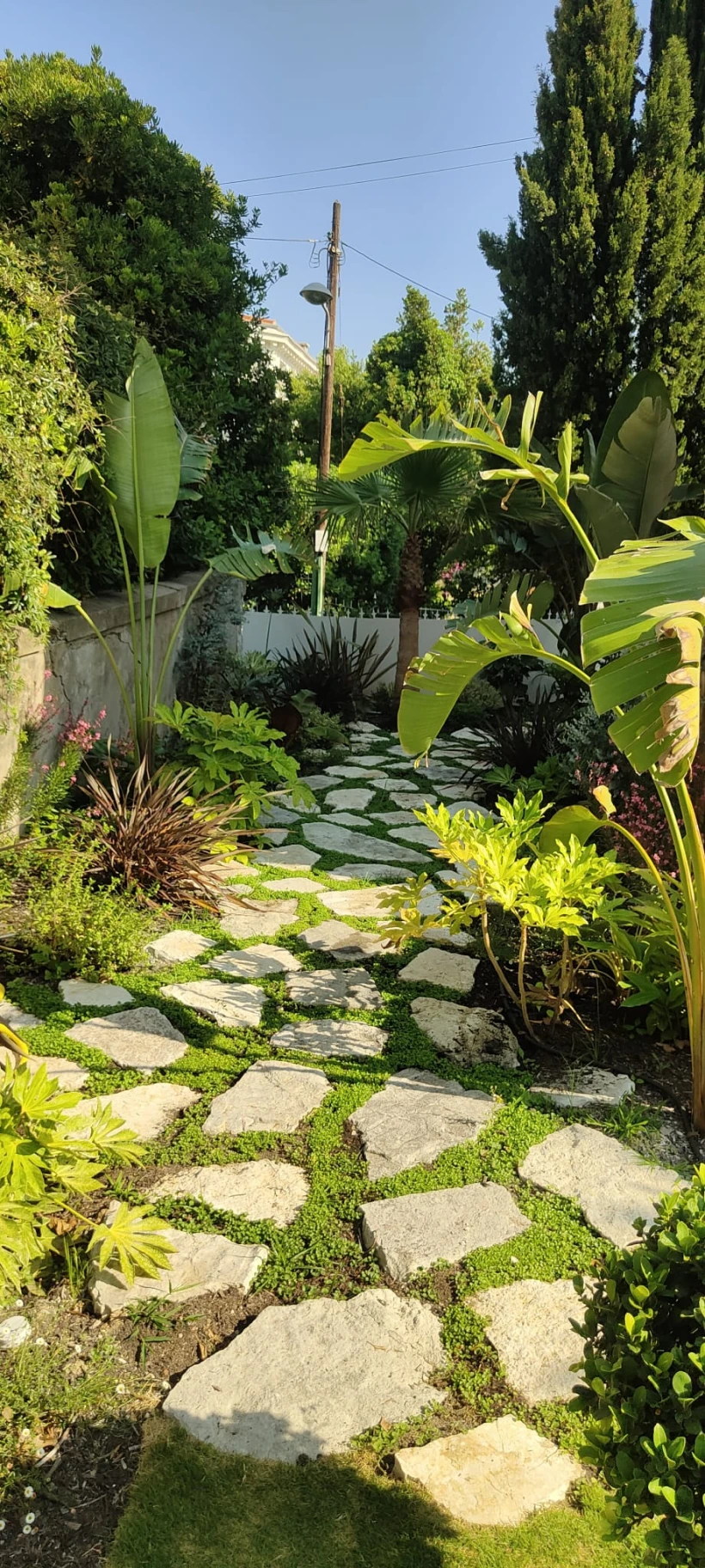 Ambiance Paysages Creation De Jardin Nice Cr Ation De Jardins 2 1